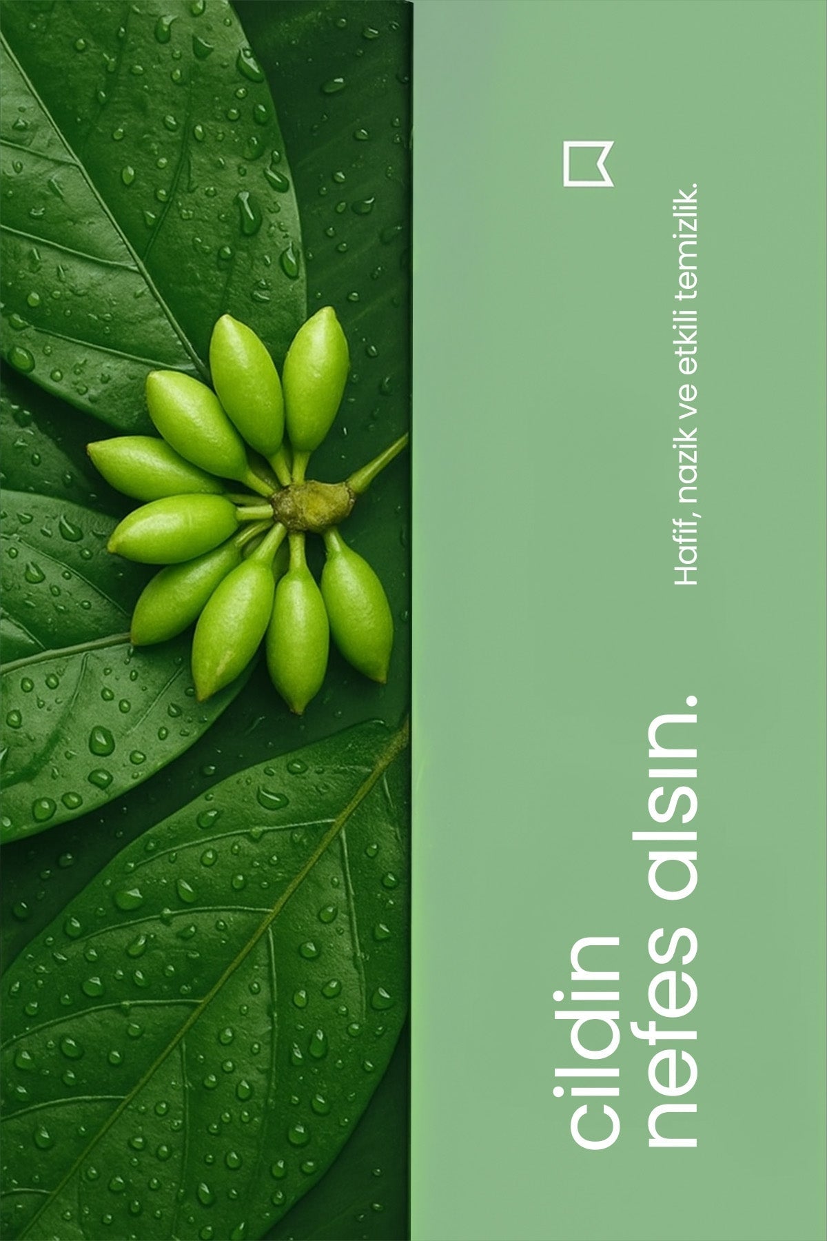 Yüz Yıkama Köpüğü