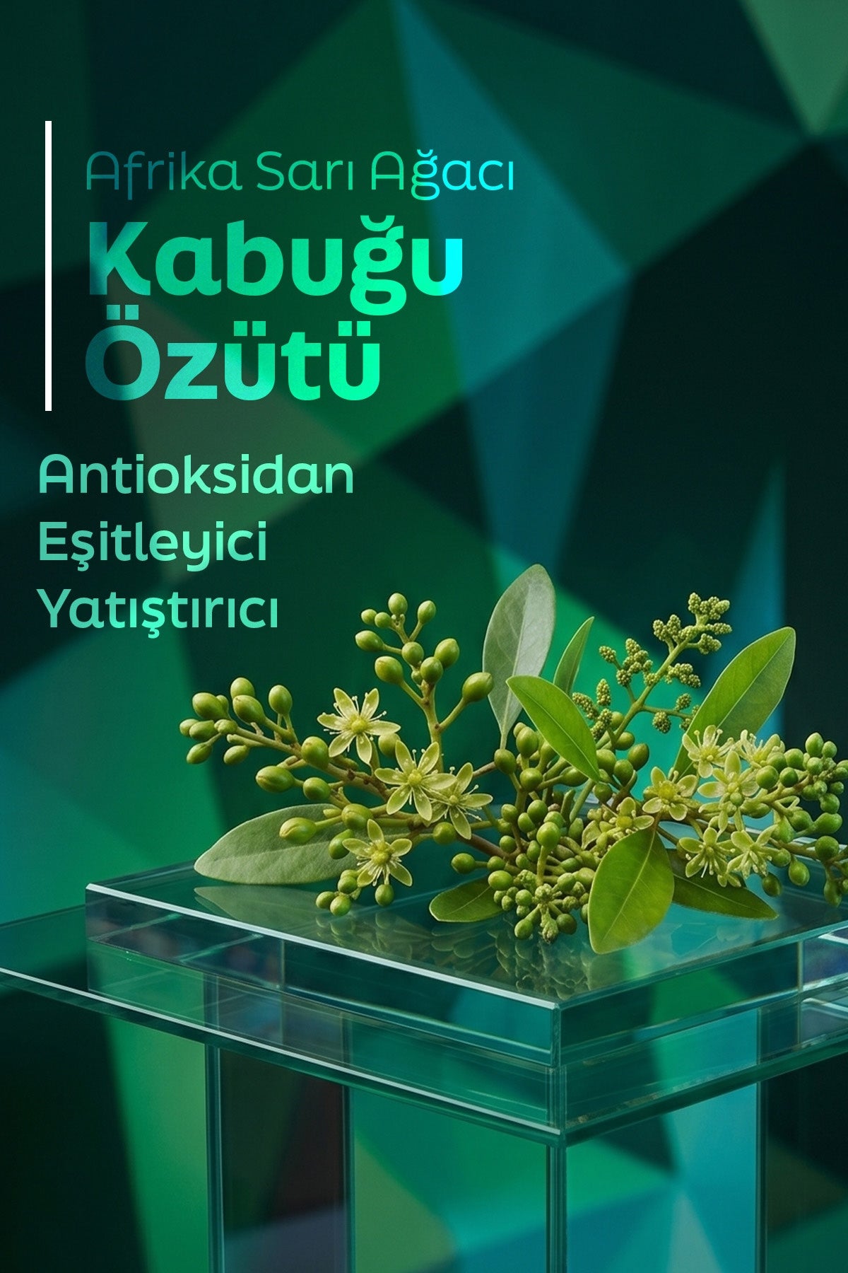 Günlük Cilt Bakım Rutini 2'li Set